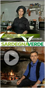 Guarda la puntata di Sardegna Verde IN VINO VERITAS